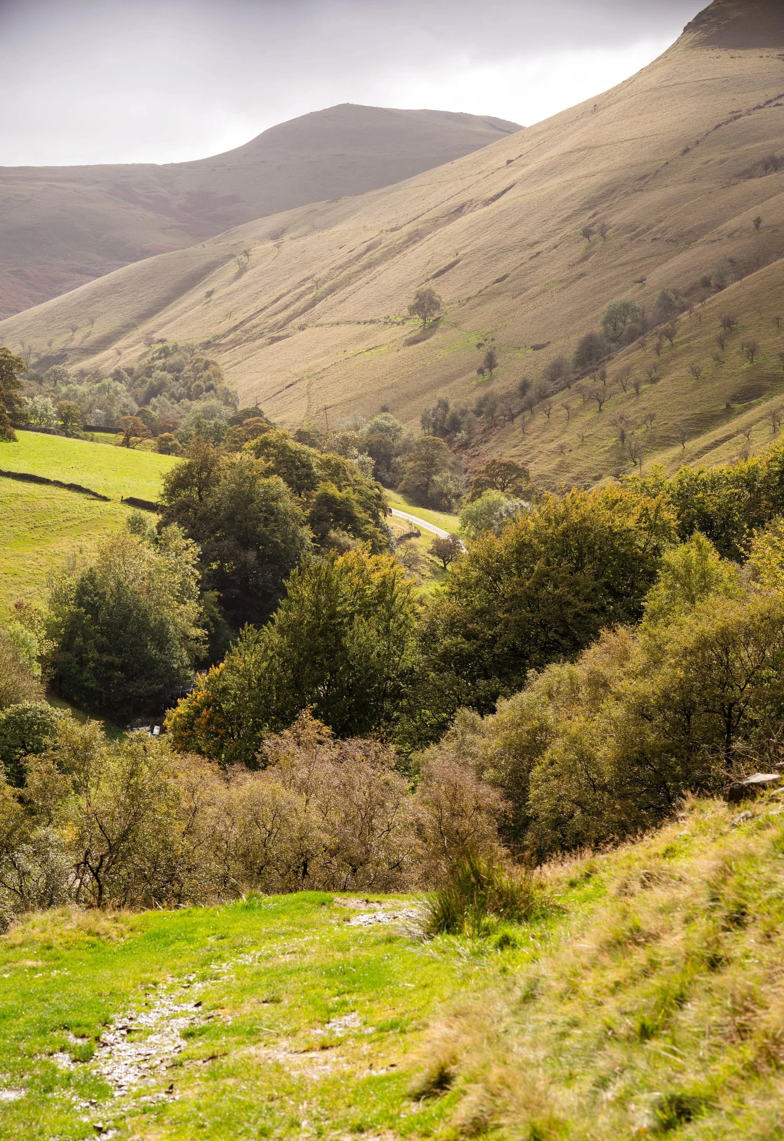 Peak District